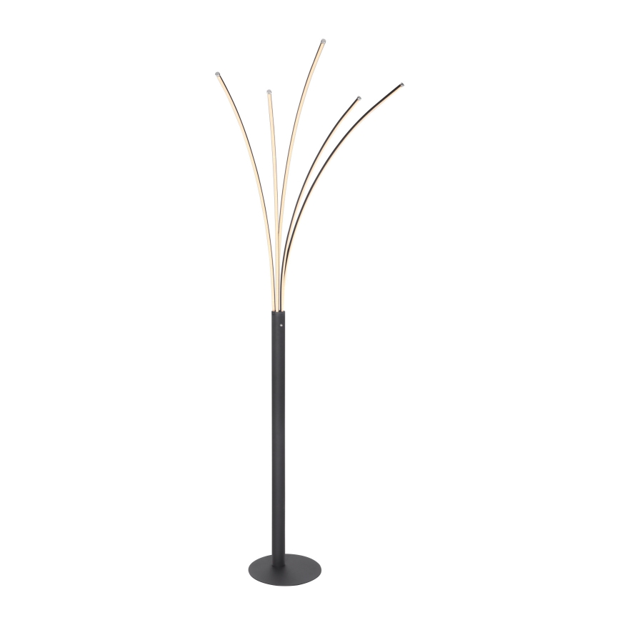 Globo - Lámpara de pie táctil LED regulable LED/36W/230V negra