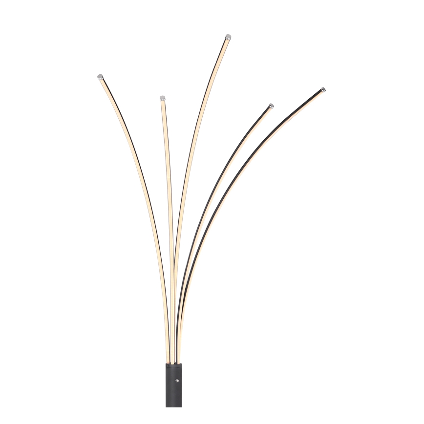 Globo - Lámpara de pie táctil LED regulable LED/36W/230V negra