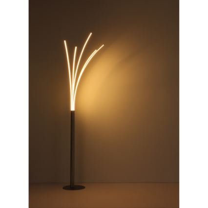 Globo - Lámpara de pie táctil regulable LED/36W/230V