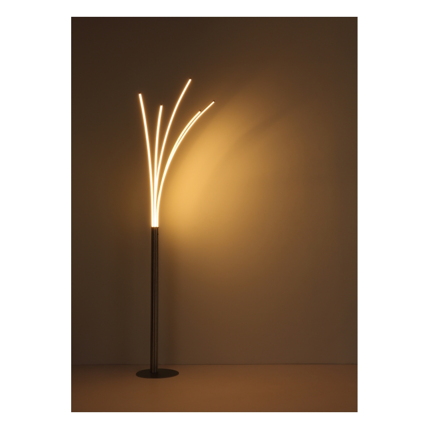 Globo - Lámpara de pie táctil regulable LED/36W/230V