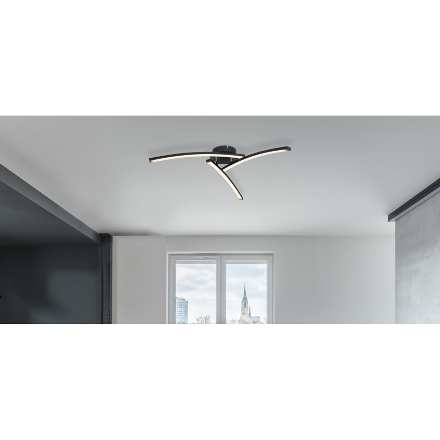 Globo - Lámpara de techo LED 3xLED/6W/230V 3000/4000/6000K