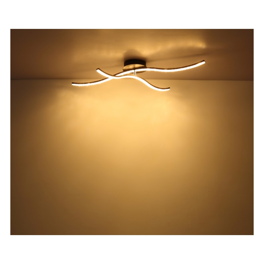 Globo - Lámpara de superficie LED LED/20W/230V
