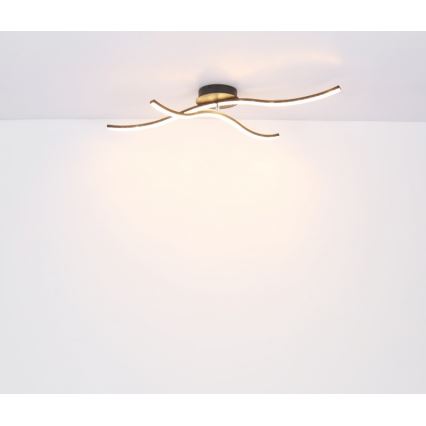 Globo - Lámpara de superficie LED LED/20W/230V