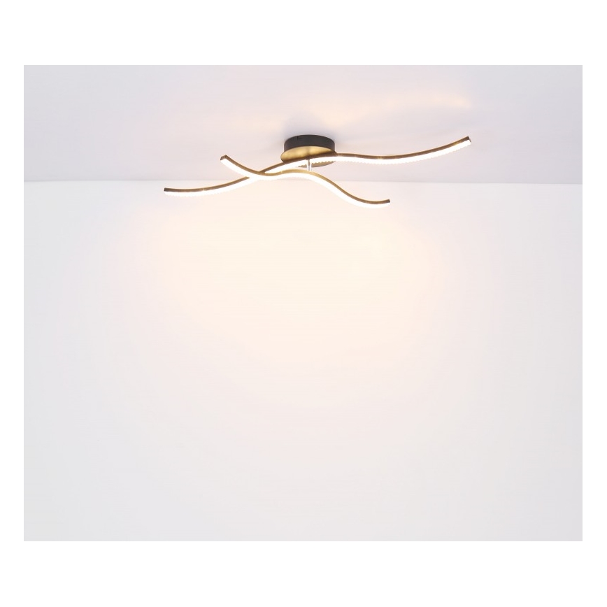 Globo - Lámpara de superficie LED LED/20W/230V