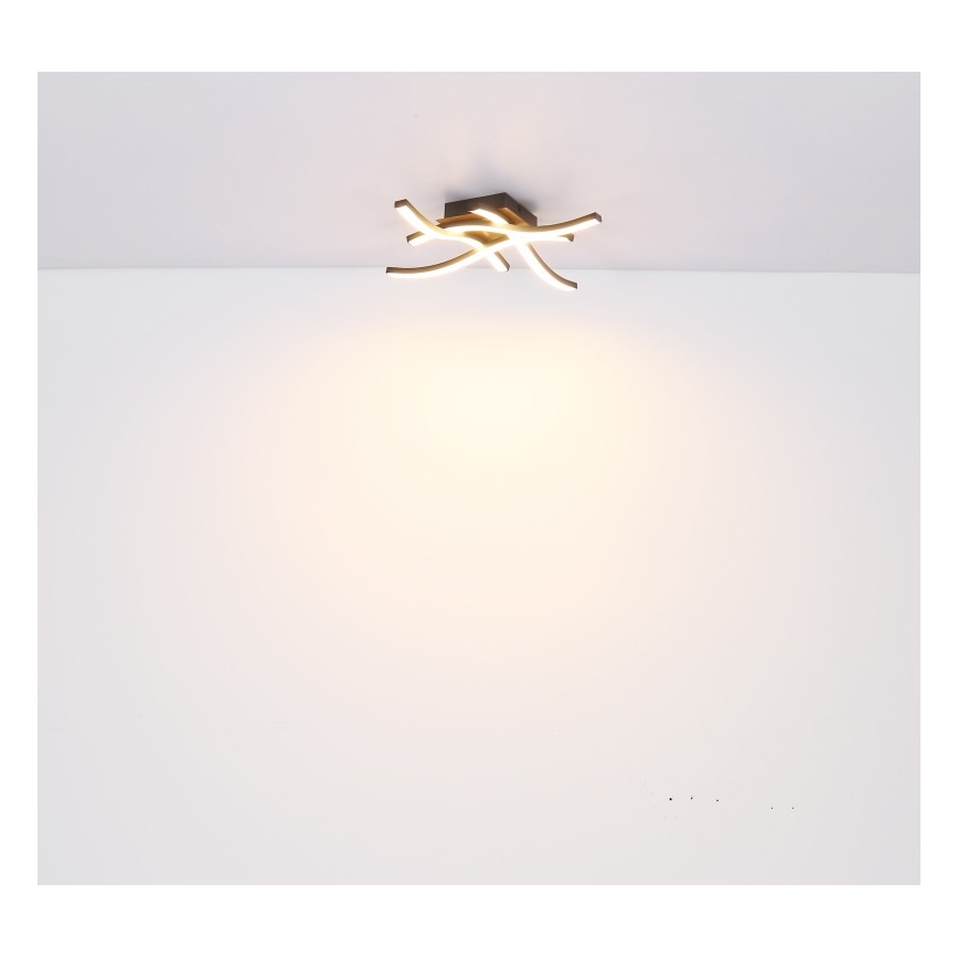 Globo - Lámpara de superficie LED 4xLED/5W/230V
