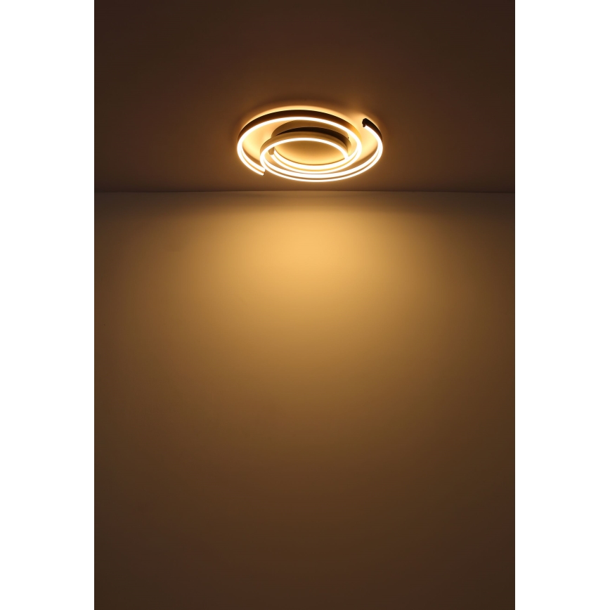 Globo - Plafón LED LED/38W/230V
