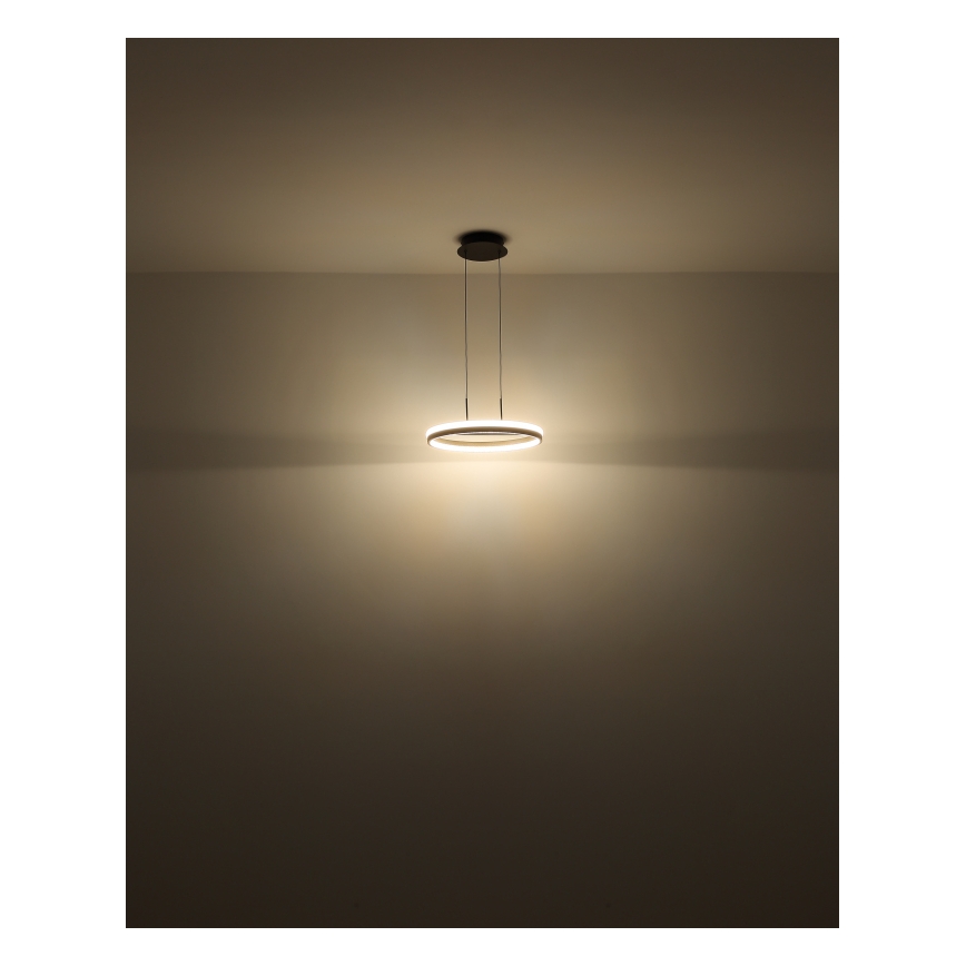 Globo - Lámpara colgante LED con cable LED/40W/230V 3000/4000/6000K Ø 39,7 cm