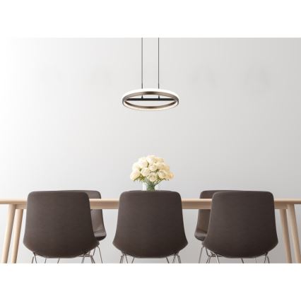 Globo - Lámpara LED colgante LED/40W/230V 3000/4000/6000K diá. 39,7 cm marrón