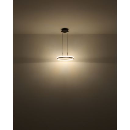 Globo - Lámpara LED colgante LED/40W/230V 3000/4000/6000K diá. 39,7 cm marrón