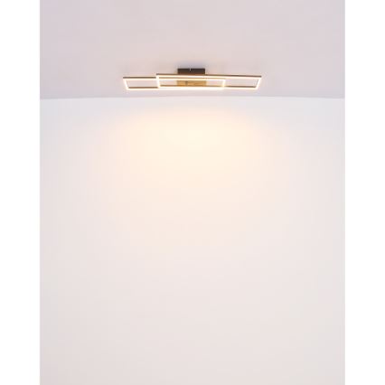 Globo - Plafón LED LED/30W/230V 3000K 60x80 cm negro