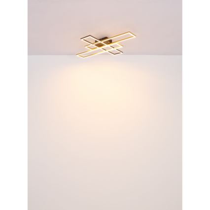 Globo - Plafón LED LED/30W/230V 3000K 60x80 cm negro/dorado