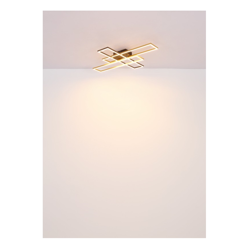 Globo - Plafón LED LED/40W/230V 3000K 60x80 cm negro/dorado