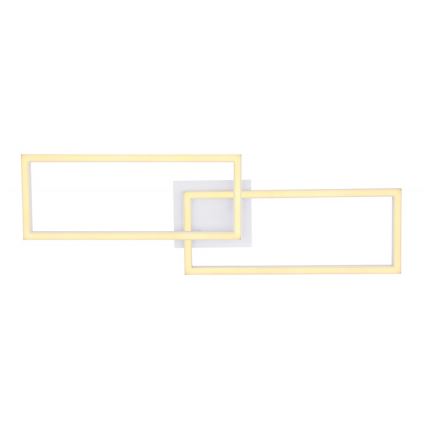 Globo - LED Lámpara de suspensión 2xLED/12W/230V