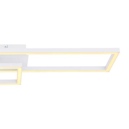 Globo - LED Lámpara de suspensión 2xLED/12W/230V