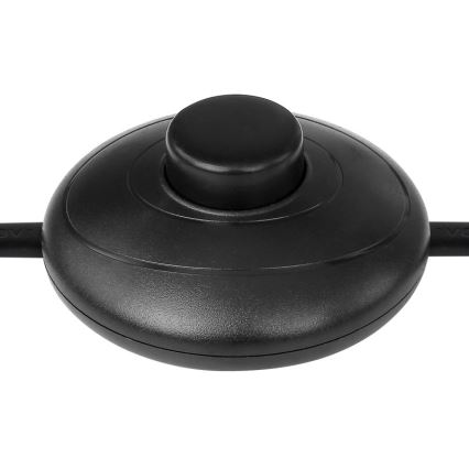 Globo - Lámpara de pie LED LED/24W/230V