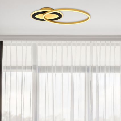 Globo - Lámpara de techo LED LED/24W/230V