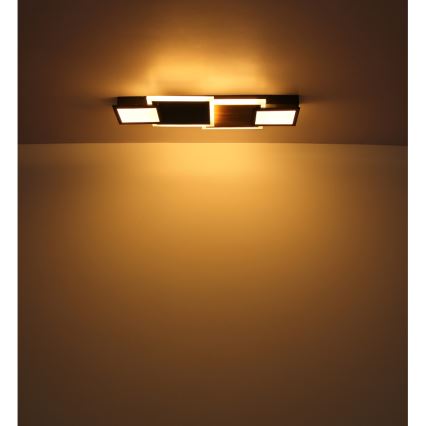 Globo 67279-30 - Lámpara de techo LED CAROLINE LED/30W/230V 25x71,5 cm beige/negro