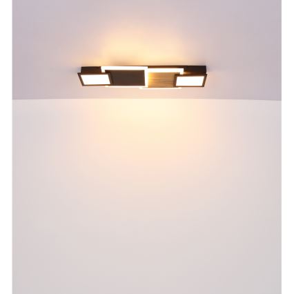 Globo 67279-30 - Lámpara de techo LED CAROLINE LED/30W/230V 25x71,5 cm beige/negro