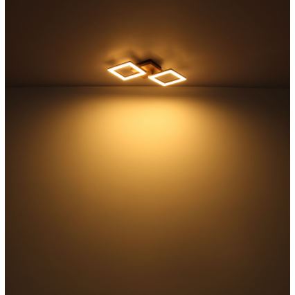 Globo - Lámpara de techo LED LED/30W/230V