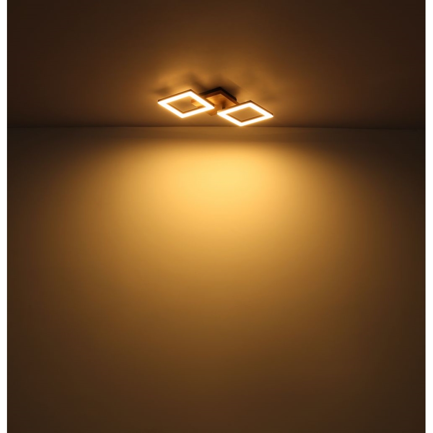 Globo - Lámpara de techo LED LED/30W/230V