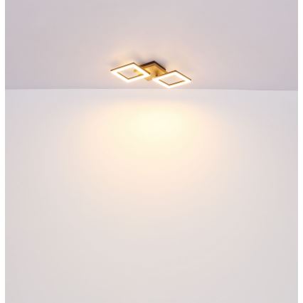 Globo - Lámpara de techo LED LED/30W/230V