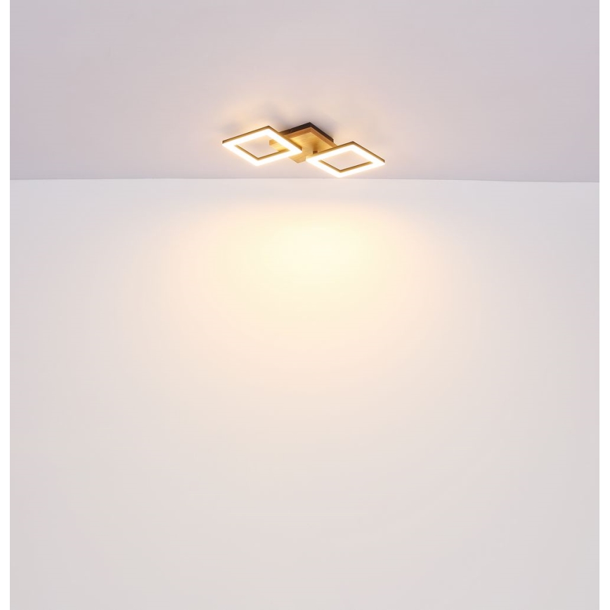 Globo - Lámpara de techo LED LED/30W/230V