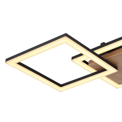 Globo - Lámpara de techo LED LED/30W/230V