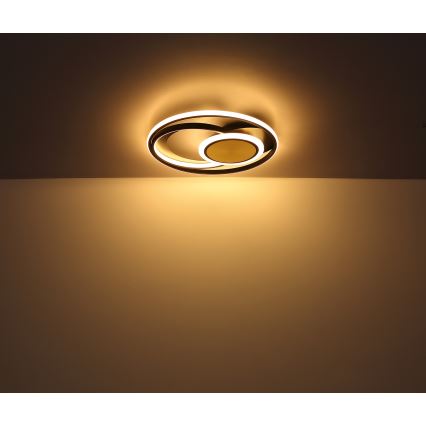 Globo - Plafón LED LED/24W/230V