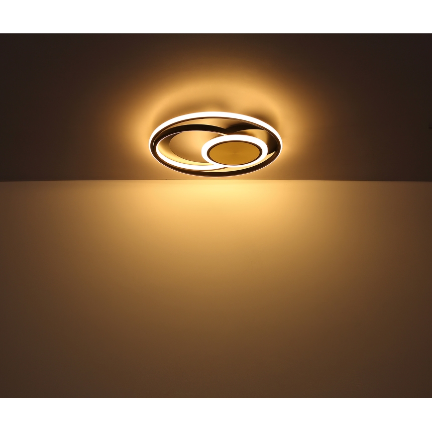 Globo - Plafón LED LED/24W/230V