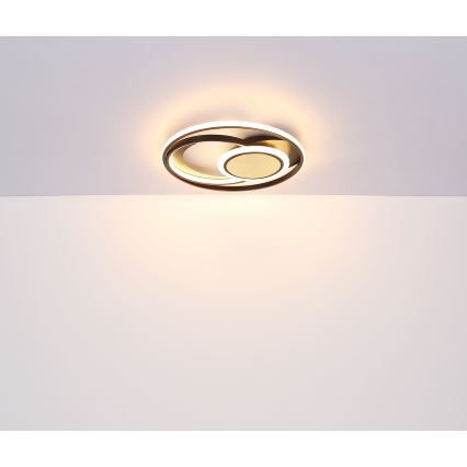 Globo - Plafón LED LED/24W/230V