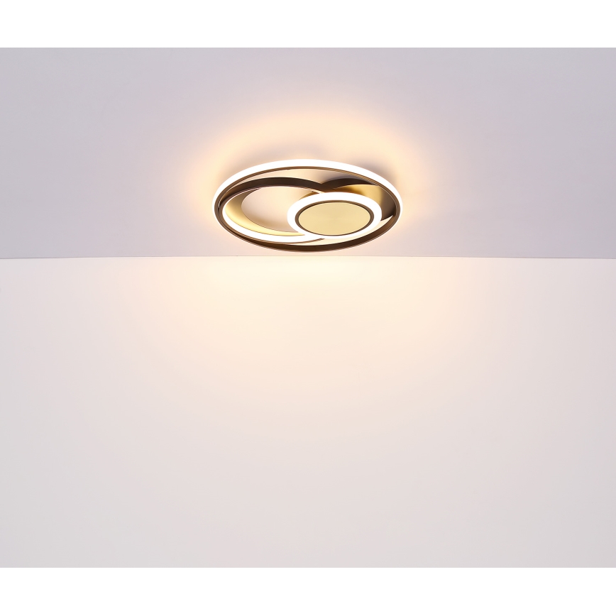 Globo - Plafón LED LED/24W/230V