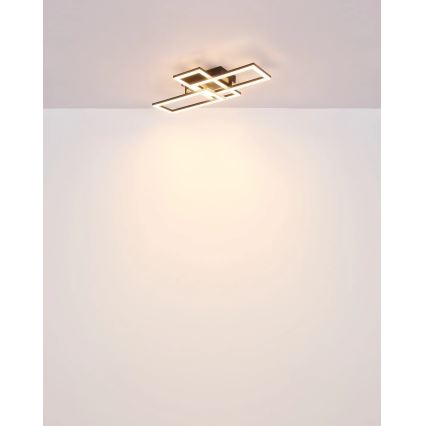 Globo - Plafón LED LED/24W/230V