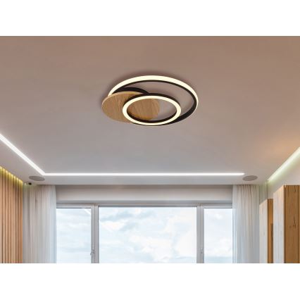 Globo - Plafón LED LED/24W/230V negro