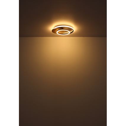 Globo - Plafón LED LED/24W/230V negro