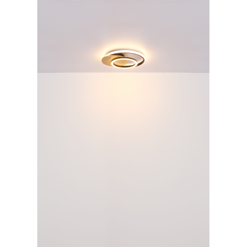 Globo - Plafón LED LED/24W/230V negro