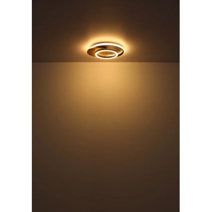 Globo - Plafón LED LED/24W/230V