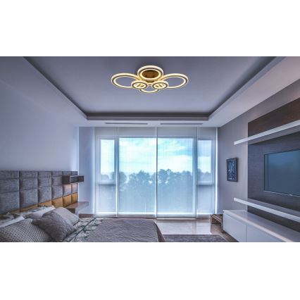 Globo - Lámpara de techo LED regulable LED/60W/230V 2700-6000K 56x78 cm antracita + mando a distancia