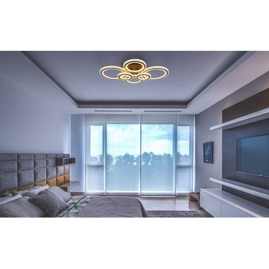 Globo - Lámpara de techo LED regulable LED/60W/230V 2700-6000K 56x78 cm antracita + mando a distancia