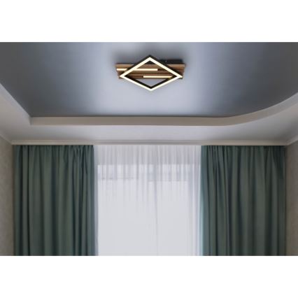 Globo - Lámpara de techo LED LED/19W/230V 3000K 31x33 cm