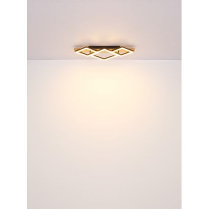 Globo - Lámpara de techo LED LED/32W/230V 3000K 31x61cm