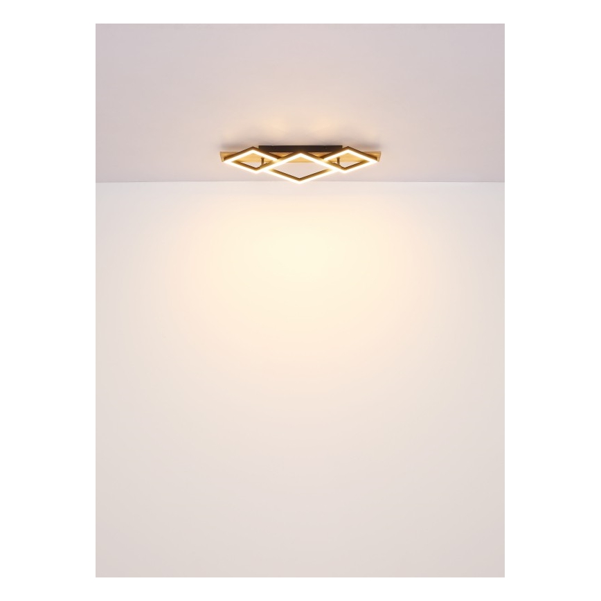 Globo - Lámpara de techo LED LED/32W/230V 3000K 31x61cm