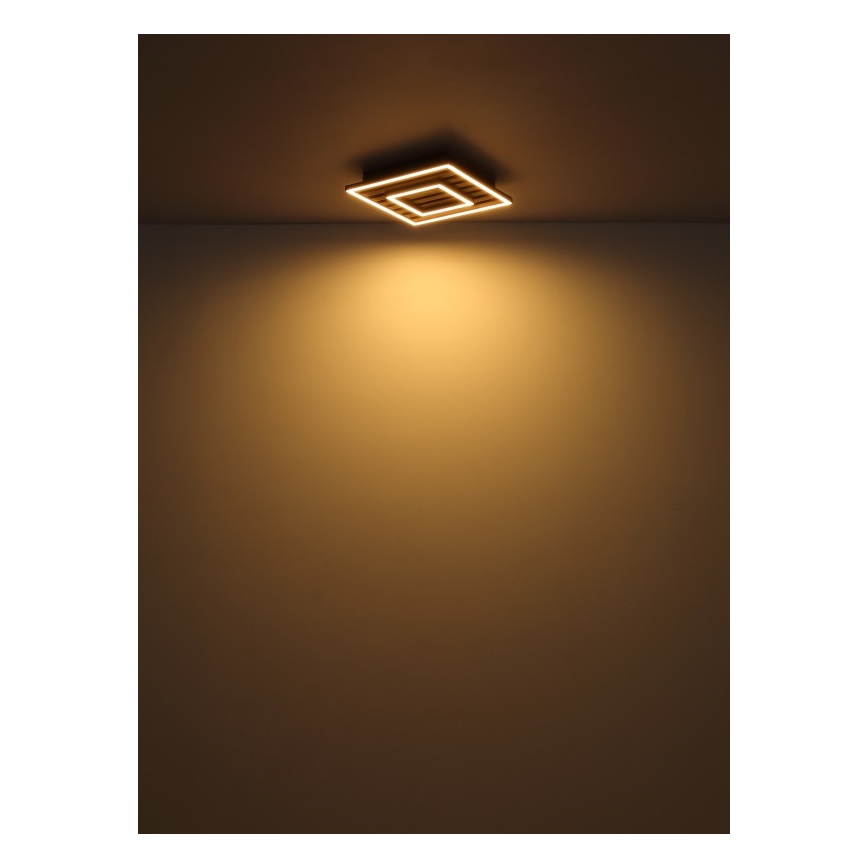 Globo - Lámpara de techo LED LED/18W/230V 3000K 30x30 cm
