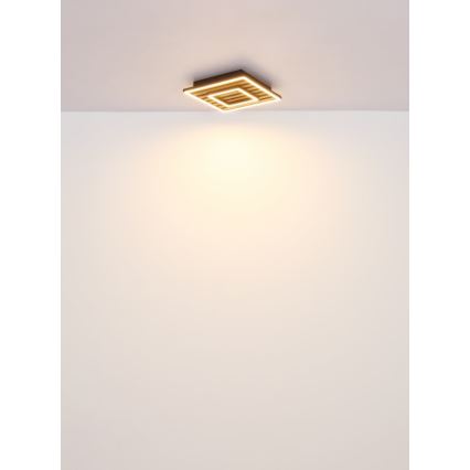 Globo - Lámpara de techo LED LED/18W/230V 3000K 30x30 cm