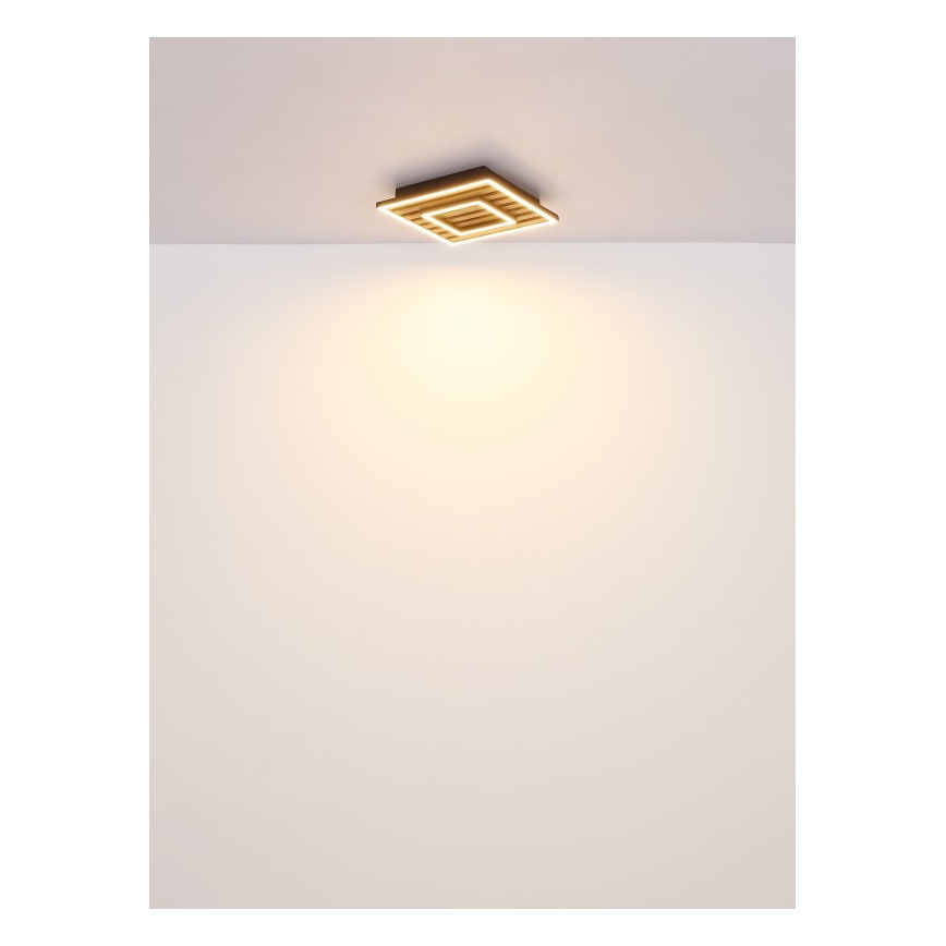 Globo - Lámpara de techo LED LED/18W/230V 3000K 30x30 cm