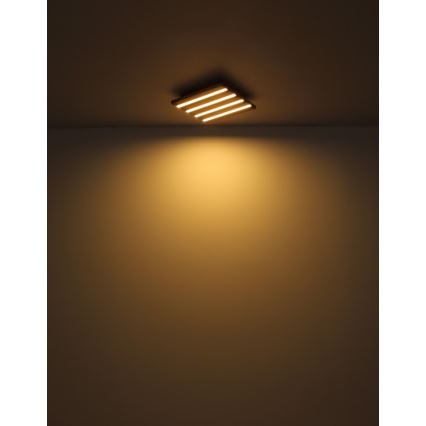 Globo - Plafón LED/15W/230V 3000K 30x30 cm