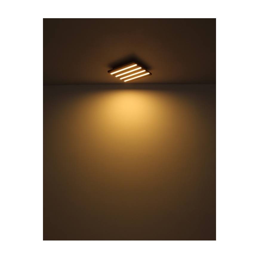 Globo - Plafón LED/15W/230V 3000K 30x30 cm
