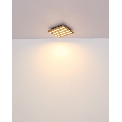 Globo - Plafón LED/15W/230V 3000K 30x30 cm
