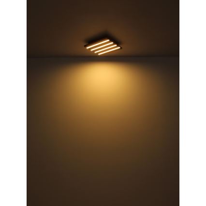Globo - Plafón LED LED/30W/230V 3000K 45x45 cm madera