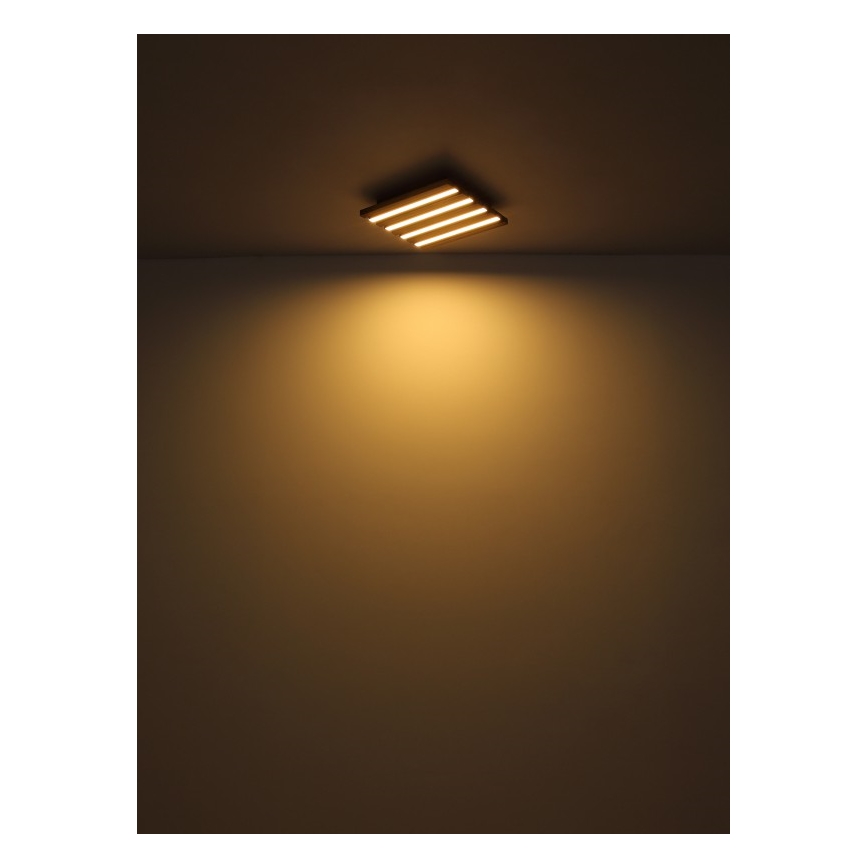 Globo - Plafón LED LED/30W/230V 3000K 45x45 cm madera