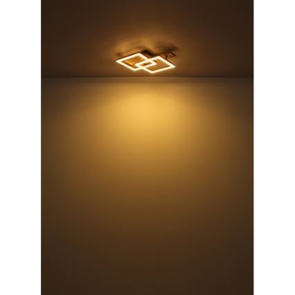 Globo - Lámpara de techo LED/16W/230V 3000K 33x44 cm